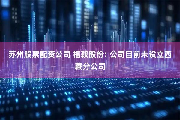 苏州股票配资公司 福鞍股份: 公司目前未设立西藏分公司